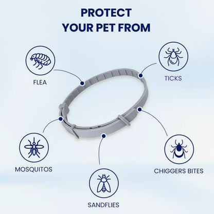 Dog Collar