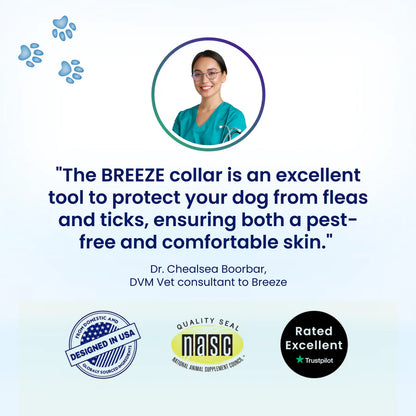 Dog Collar